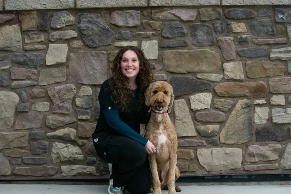 Portrait of Braxlee, team member at Farr West Animal Hospital