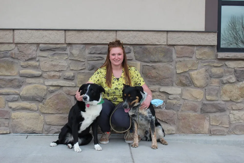 Portrait of Chancey, team member at Farr West Animal Hospital