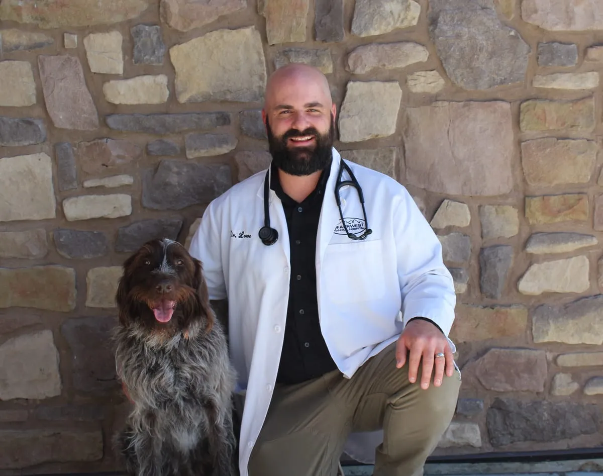 Dr. Derek Lowe kneeling with two of his dogs at Farr West Animal Hospital