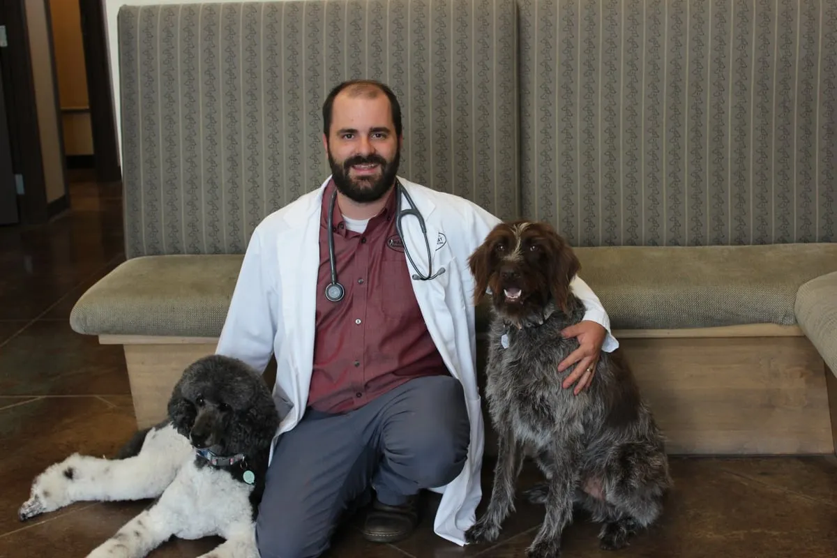 Dr. Derek Lowe kneeling with two of his dogs at Farr West Animal Hospital