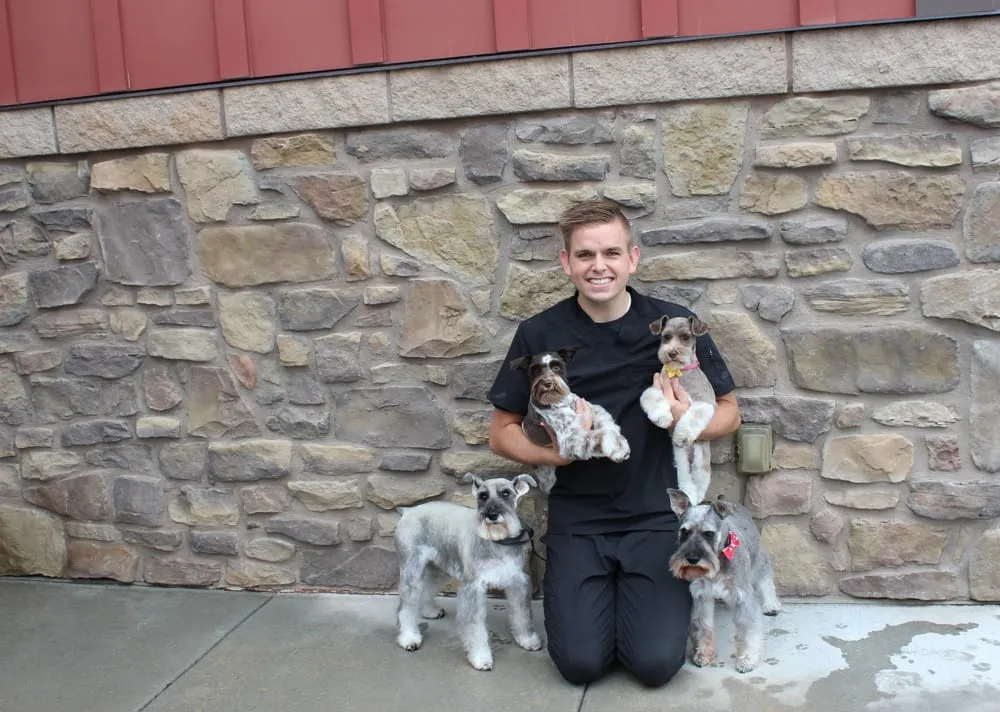 Portrait of Holden, team member at Farr West Animal Hospital