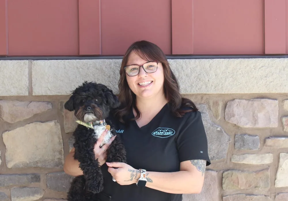 Portrait of Maddi, Certified Veterinary Technician at Farr West Animal Hospital