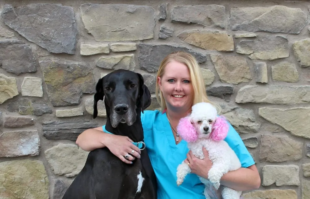Portrait of Stephanie, team member at Farr West Animal Hospital