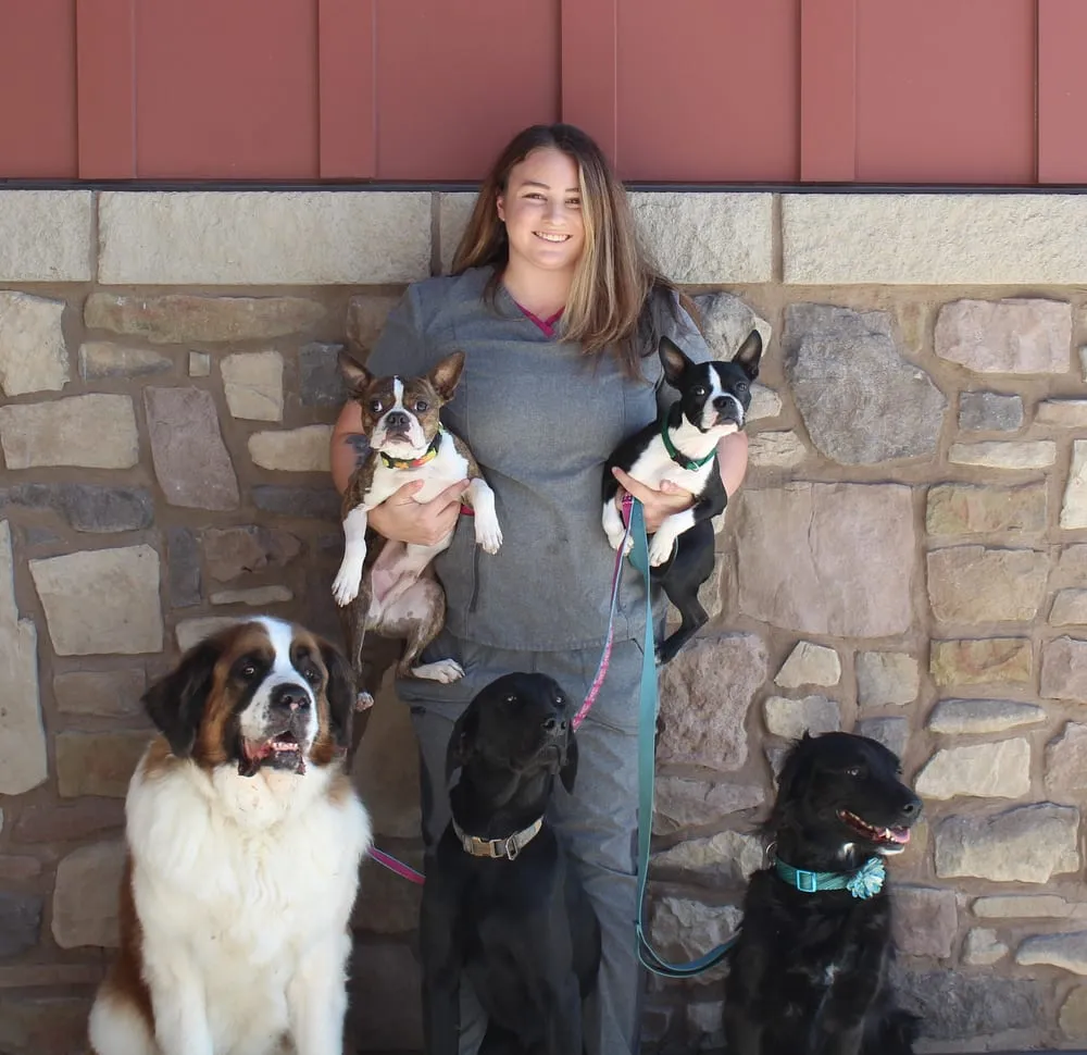 Portrait of Stephanie, team member at Farr West Animal Hospital